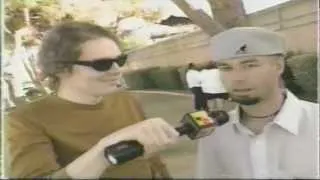 MTV clips of Beastie Boys at Lollapalooza 94 + Billy Corgan interviewing Adam Yauch