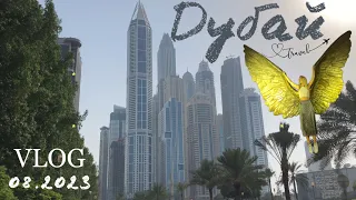 Бюджетный отдых в Дубай за 14 дней! #dubai #dubaicity #путешествия