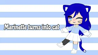 Marinette Turns Into a cat|MLB|