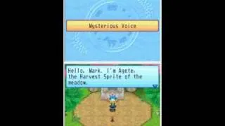 Harvest Moon Sunshine Islands Mysterious voice