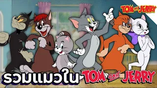 รวมแมวในเรื่อง Tom and Jerry