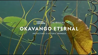 Okavango Eternal - Biodiversity