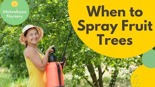 When to Spray Fruit Trees Overview