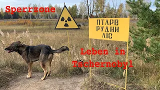 Sperrzone - Leben in Tschernobyl
