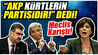 "Kürtlerin partisi AKP'dir!" dedi! Mecliste tartışma büyüdü!