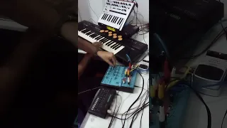 Song 1, Korg Monologue, Casio CT 510, Alesis S4 plus, Yamaha QY10, Behringer FX 600