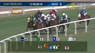 Gulfstream Park January 19, 2019 Race 2