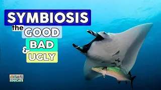 Symbiosis, the Good, the Bad and the Ugly