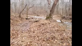 Amazing Bigfoot Whoops from Kentucky!!!