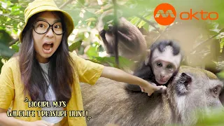 Long-tailed macaques and reptiles in Singapore's Nature Reserve! | Biogirl MJ S1E04 | @mediacorpokto