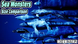 Sea Monsters Size Comparison 3D Animation (Real World Ver) 바다 괴물 크기 비교 (feat. Fish&Shark&Whale&Dino)