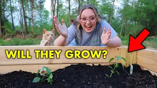 PLANTING Vegetables in Our RAISED GARDEN for the First Time! *HUGE ANNOUNCEMENT*
