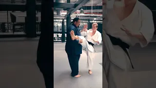 DON'T KICK STEVEN SEAGAL 💀