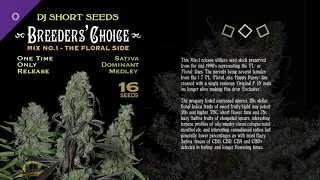 Breeders' Choice Collection