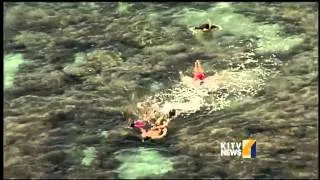 Hanauma Bay is one of the top places for drowning in the islands