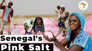 Harvesting Senegal's Pink Salt : World's Saltiest Lake?