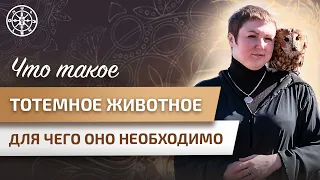 Что такое тотемное животное, для чего оно необходимо? Тотем. Тотемные животные. Шаманизм.