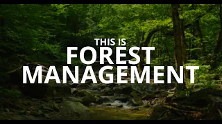 This is Forest Management.