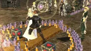 Lineage 2. Wedding (KvinT & driada) by KvinT