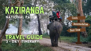 KAZIRANGA National Park | Plan Your Family Trip