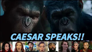 Reactors React To Caesar Speaking in Rise & Dawn of The Planet of The Apes!!