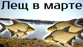 Где искать леща в марте? Где стоит лещ в марте? Где ловить леща в марте?