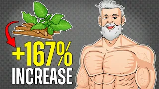Ashwagandha - Why Every Man Over 40 Should Take It!