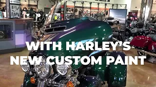 Harley-Davidson's New Paint - Snake Venom (Color Shift)