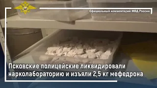 Ирина Волк: Псковские полицейские ликвидировали нарколабораторию и изъяли 2,5 кг мефедрона