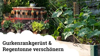 Ideales Rankgerüst für Gurken + 4 Ideen, um Wasser/Regentonnen zu verschönern!