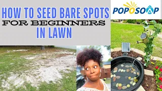 POPSOAP||How To Seed Bare Spots In Lawn For Beginners🌷||Solar Pump Fountain⛲️