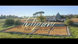 TULIPANI - Officiële NL trailer | 21 september in de bioscoop