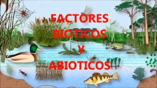 Factores bióticos y abióticos para niños. Maestro Josh.