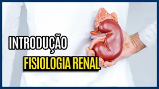 Como o Rim filtra o Sangue ? Introdução a Fisiologia Renal