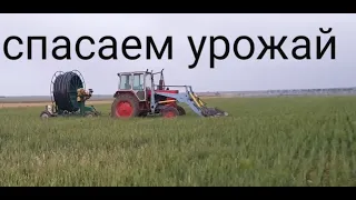 Поливаем ячмень! Обзор системы полива, дождевалка барабанного типа