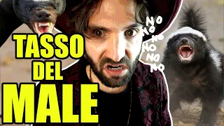 Il tasso del MALE - SCIENZA BRUTTA