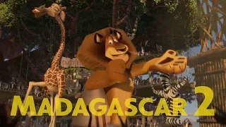 Chamada do filme "Madagascar 2" na Sessão da Tarde (13/10/2017)