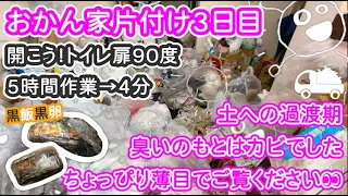 【片付け】おかん家片付け　黒い白飯黒卵　一層めくってカビ放題　開いて扉トイレ入り口90度