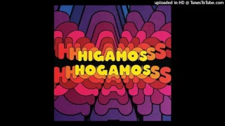 Higamos Hogamos - The Future Hides Its Face (3.04)