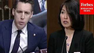 'Are Those Crimes Or Not?': Hawley Presses Biden Judge Nominee On Illegal Immigration Stance