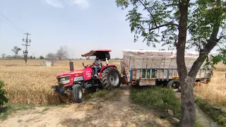 Arjun 605 mat with 16ft loaded trolley of wheat (605 stuck two times)