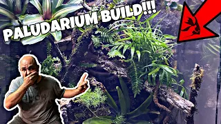 Part 3 - Completing The Paludarium Build (planting and scaping)