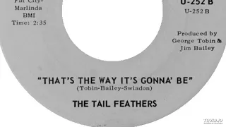 The Tail Feathers - That's The Way It's Gonna Be