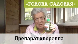 Голова садовая - Препарат хлорелла