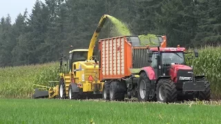 Loonbedrijf Zandman met New Holland FX en Case IH aan het mais hakselen (2017)