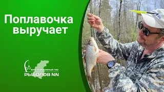 Поплавочка снова выручает! Ловля плотвы в проводку на спаде воды.  Аромат, который нравится рыбе.