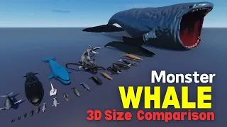 Whale Size Comparison 3D || Smallest to Monster Whales in the Sea || Sea Monsters Size Comparison