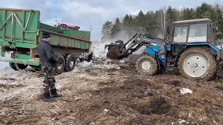 Так начинал каждый тракторист! МТЗ-82 на погрузке, КИРОВЕЦ К-525 и МТЗ 1221 на транспортировке.