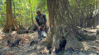 The first tree fell had a problem, the second tree had all the machines with problems !!