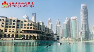 世界著名迪拜地标建筑一日游(观光巴士顶层视角)World famous Dubai Landmarks (Top floor view from sightseeing bus)